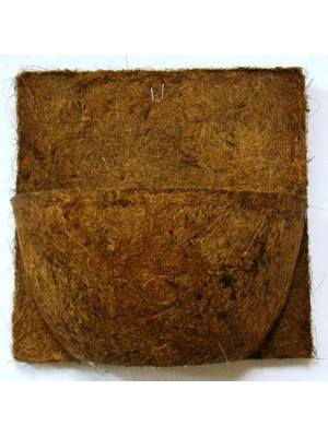 VASO PAREDE N°31
